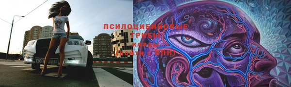 PSILOCYBIN Алзамай