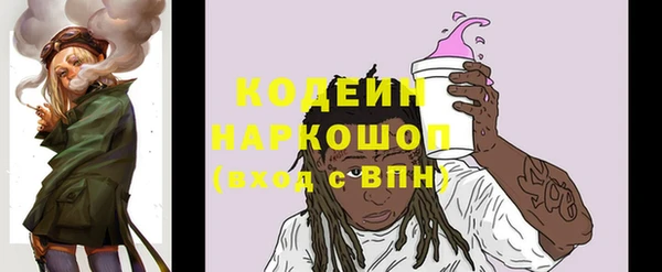 PSILOCYBIN Алзамай