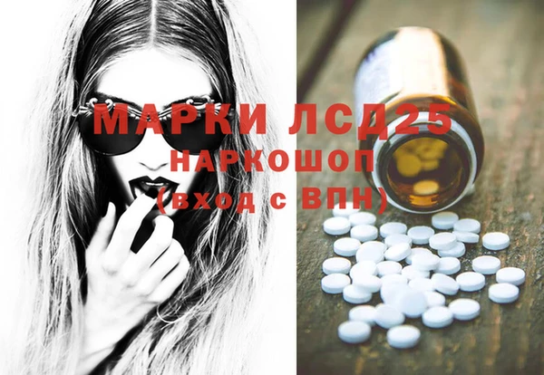 PSILOCYBIN Алзамай