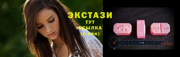 PSILOCYBIN Алзамай