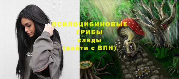 PSILOCYBIN Дмитриев