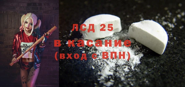 PSILOCYBIN Алзамай