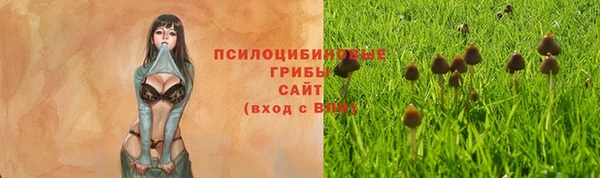 ECSTASY Алексеевка